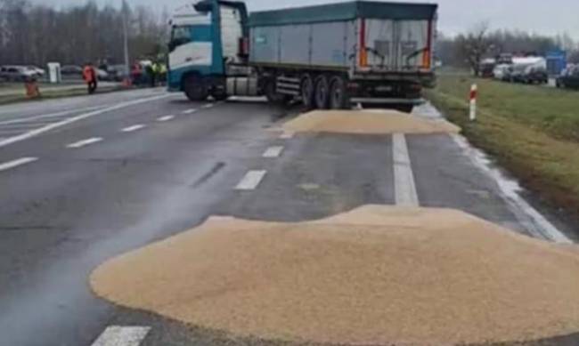 Польський міністр перепросив у України за висипане зерно: Фермери не опанували емоцій фото