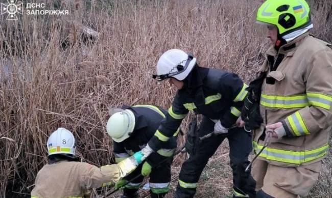 Лежав в очереті: у Запоріжжі рятувальники дістали з води тіло чоловіка фото