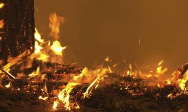 У Запорізькому районі через необережне поводження з вогнем під час куріння загинув чоловік фото