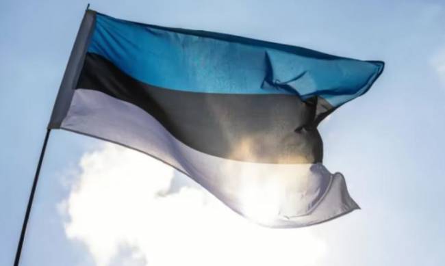 Естонія надасть Україні пакет військової допомоги на 20 млн євро фото