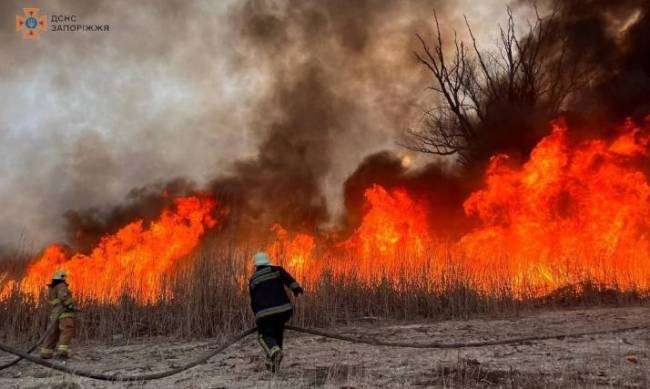 Плавні у вогні: запорізькі рятувальники ліквідовують масштабну пожежу фото