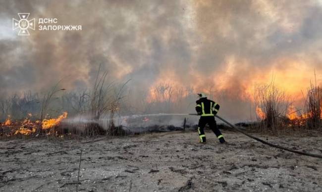 Горів очерет - у Запоріжжі рятувальники ліквідували масштабну пожежу в плавнях  фото