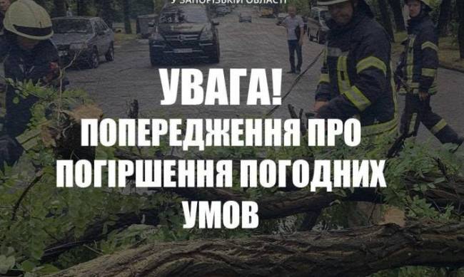 Зачиніть щільно вікна  і будьте подалі від дерев: у Запоріжжі прогнозують сильні пориви вітру фото