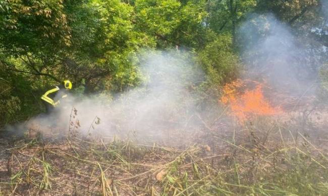 Горіли очерет та суха трава: у Запоріжжі рятувальники ліквідували масштабну пожежу на відкритій території фото