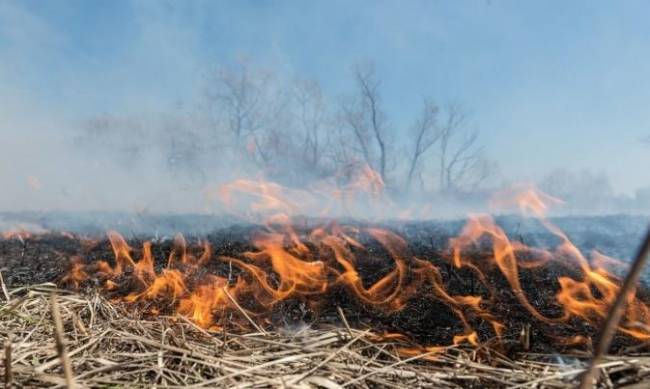 Внаслідок ворожих обстрілів в Оріхові виникла пожежа  фото