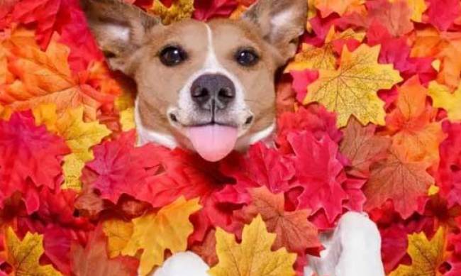 Погода сонячна, дощів не буде. Синоптик дала прогноз на вихідні фото